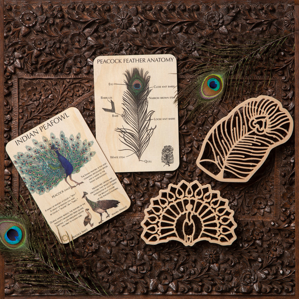 Indian Peacock Sensory Pack - Eco Cutter™ Set of 2, Timber Tile, and Colour In Card