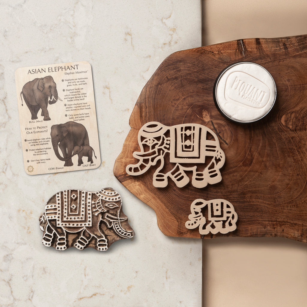 Asian Elephant Sensory Pack - Eco Cutter™, Timber Tile, And Colour In Card